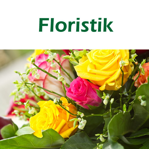 Blumen Fromm, Recklinghausen