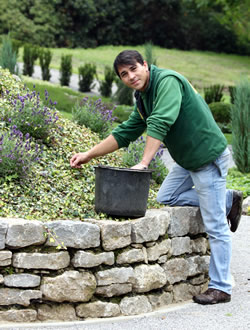 Harad Fromm Recklinghausen